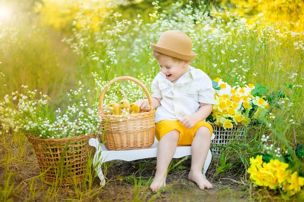 Un mignon petit garçon au chapeau joue avec des canetons dans ses mains sur un fond lumineux en été dans un parc dans la nature Un petit enfant avec beaucoup de petits canetons jaunes dans un champ de marguerites