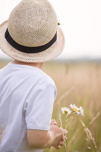 Mignon petit garçon au chapeau de paille avec des marguerites dans les mains marchant sur le champ de seigle et regardant au loin