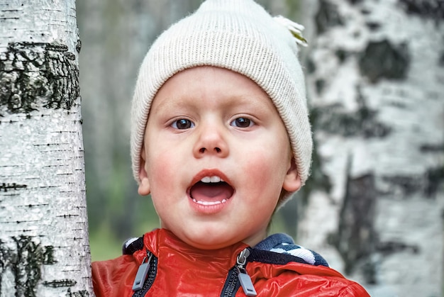 Mignon petit garçon en bonnet et veste tricotés se tient près du bouleau dans la forêt en automne