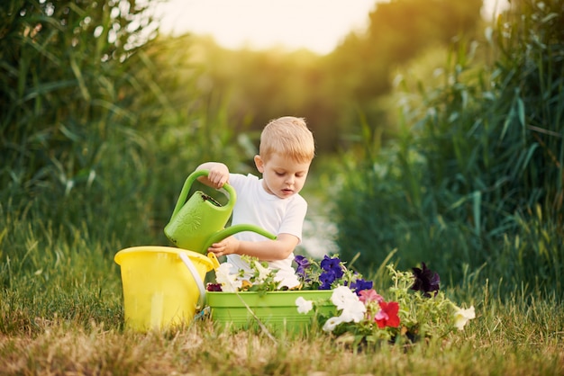 Mignon petit garçon enfant arroser les semis de fleurs dans un pot dans le jardin au coucher du soleil. Petit jardinier amusant. Concept de printemps, nature et soins.