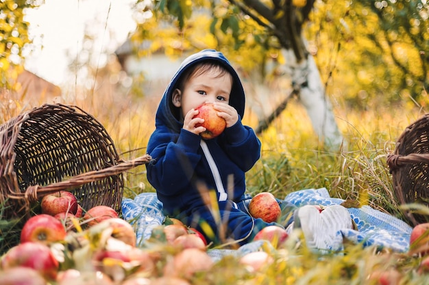 Mignon petit garçon mangeant une pomme rouge dans le jardin d'automne Petit garçon souriant dans un verger de pommiers est assis et tient une pomme Saison de récolte