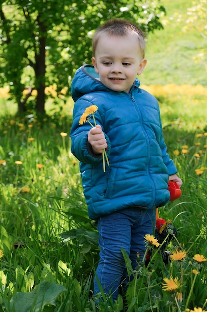 Mignon petit garçon avec pissenlit à la main