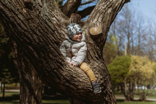 Un mignon petit garçon portant une veste chaude et un bonnet kaki assis sur la branche d'une grande image d'arbre avec