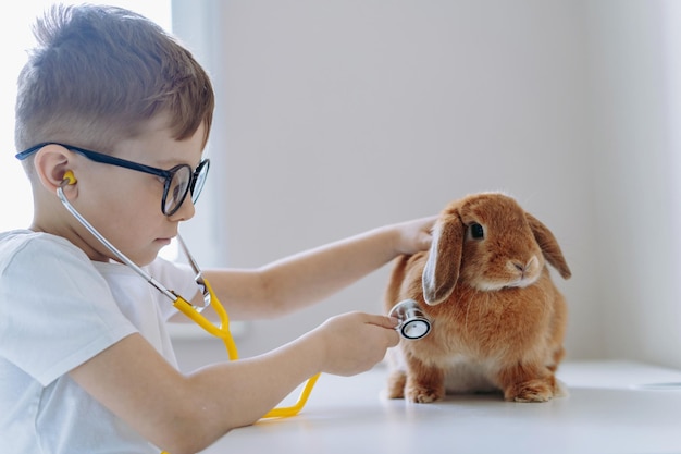 Un mignon petit garçon qui joue au vétérinaire qui fait un stéthoscope à un lapin.