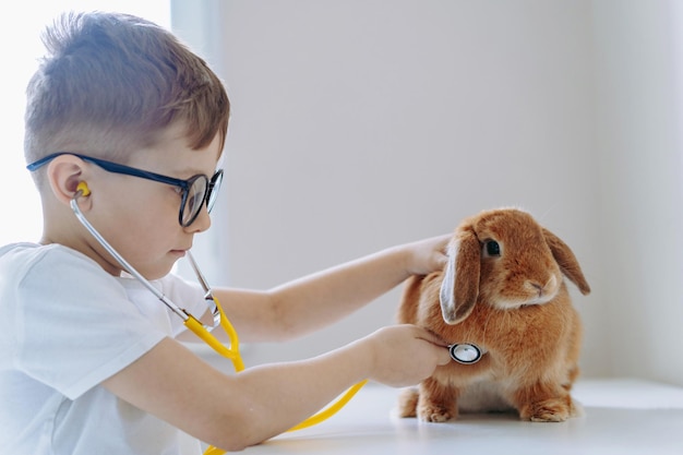 Un mignon petit garçon qui joue au vétérinaire qui fait un stéthoscope à un lapin.