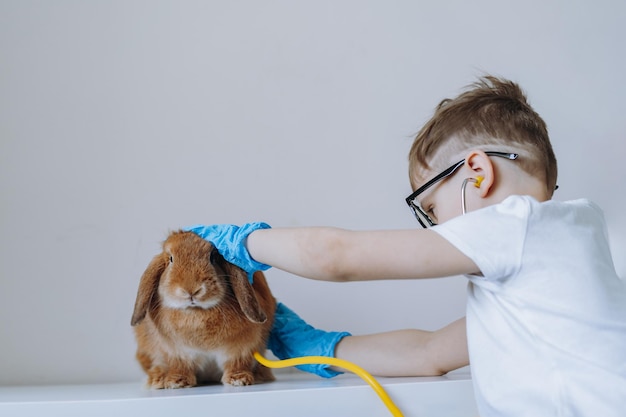 Photo un mignon petit garçon qui joue au vétérinaire qui fait un stéthoscope à un lapin.