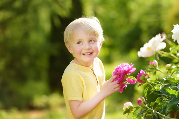 Un mignon petit garçon regarde des pivoines violettes et blanches dans un jardin domestique ensoleillé
