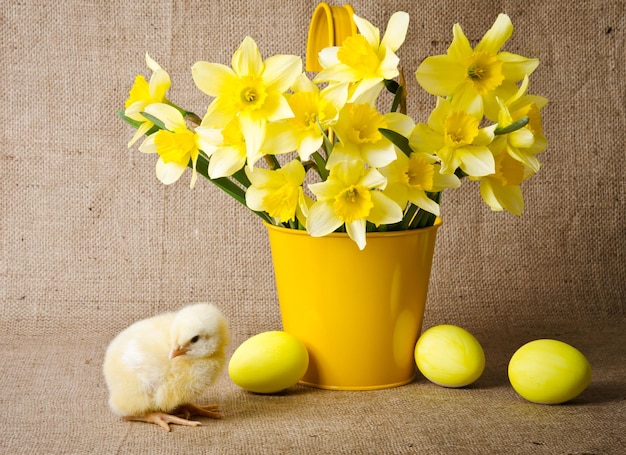 Photo mignon petit poussin et oeufs de pâques