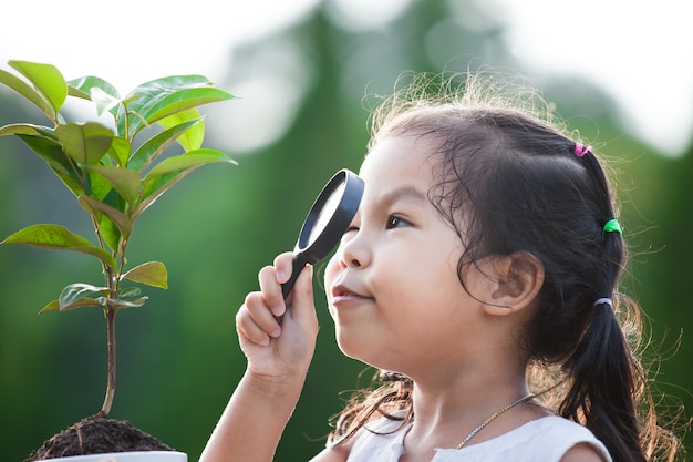 Mignonne petite fille enfant asiatique regardant à travers une loupe sur le jeune arbre dans le parc