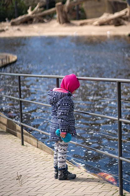 Mignonne petite fille regardant les animaux au zoo le jour d'été chaud et ensoleillé Enfant admirant les animaux du zoo Temps en famille au zoo