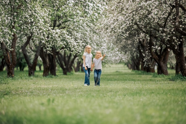 De mignons enfants se tiennent dans un jardin fleuri Deux sœurs se promènent dans le parc au milieu d'un jardin fleuri