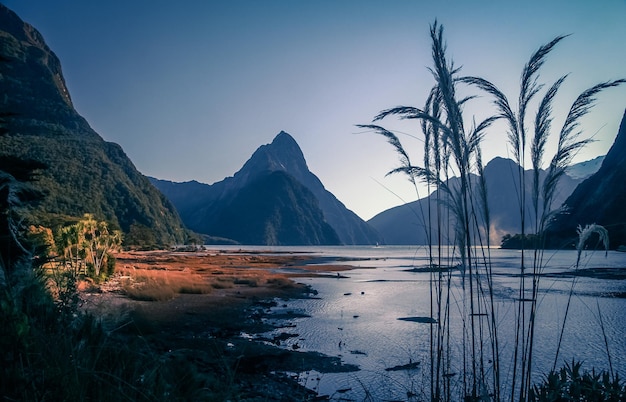 Milford Sound à l'aube