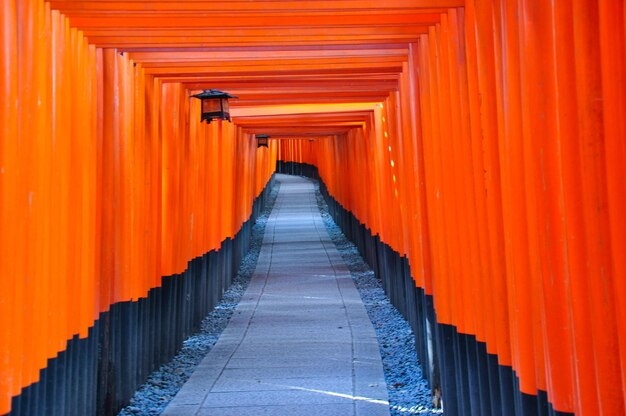 Photo un millier de torii.
