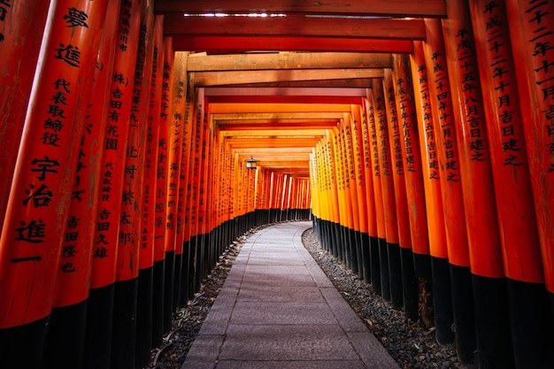 Des milliers de portes torii rouges au sanctuaire Fushimi Inari Taisha à Kyoto, Japon