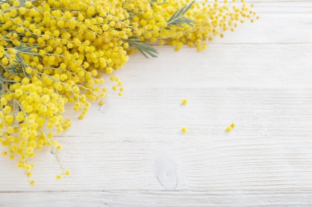 Mimosa sur fond de bois blanc