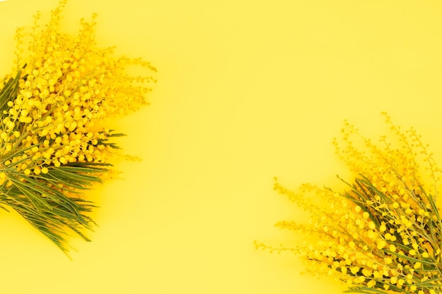 Mimosa un fond de printemps de fleurs jaunes, fond du jour du 8 mars, cadre avec espace de copie, mimose est des fleurs traditionnelles pour la journée internationale de la femme 8 mars