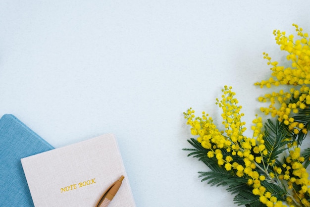 Mimosa de printemps et cahiers avec un stylo sur la table bleue Le bureau du blogueur Espace de copie