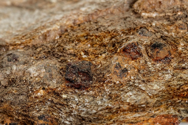 Minéral grenat pierre macro dans la roche sur un fond blanc