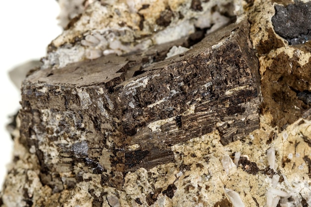 Minéral de pyrite de pierre macro dans la roche sur fond blanc gros plan