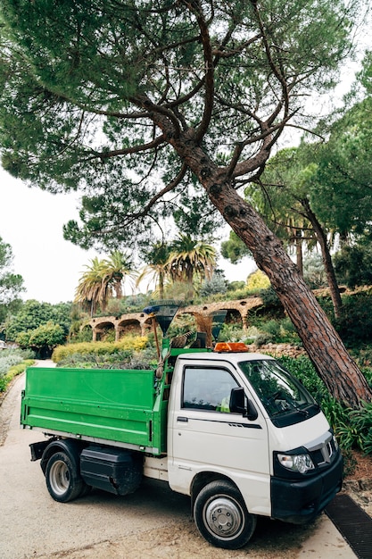 Photo mini-camion commercial de service moyen blanc-vert. voiture de jardinier dans le parc.