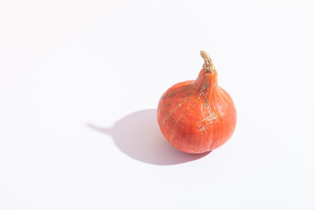 Mini citrouille orange avec une ombre dure sur fond blanc