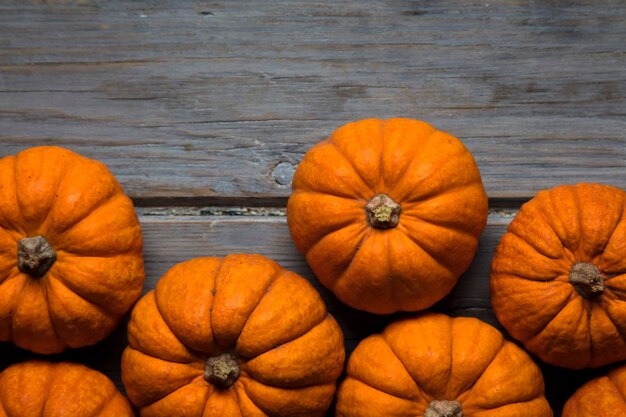 MIni citrouilles disposées sur un fond de bois rustique