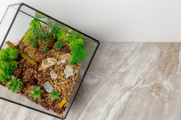 Mini jardin succulent en verre florarium