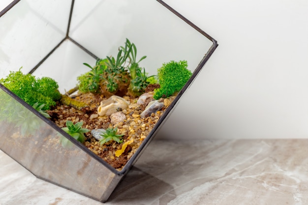 Mini jardin succulent en verre florarium