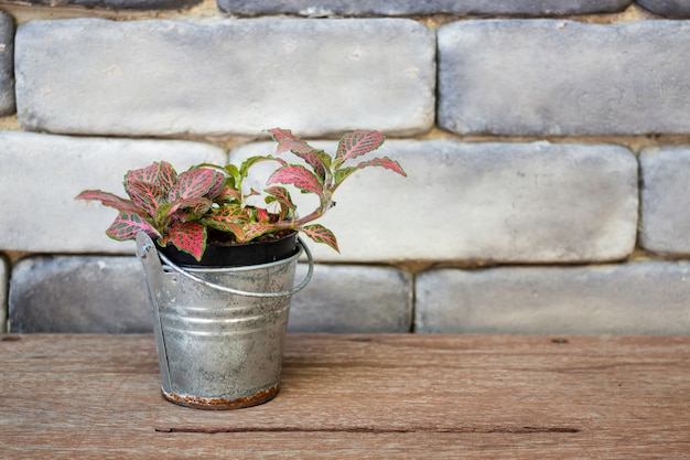 Mini pot à feuilles vertes