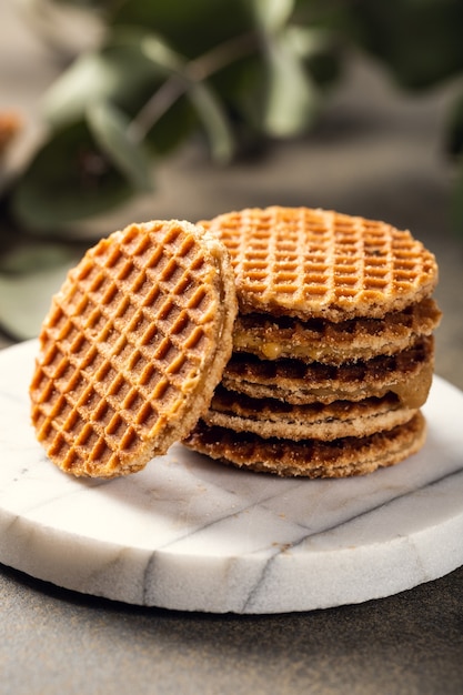 Mini stroopwafel, siropwaffles cookies avec tasse de thé et brindilles d'eucalyptus sur surface légère