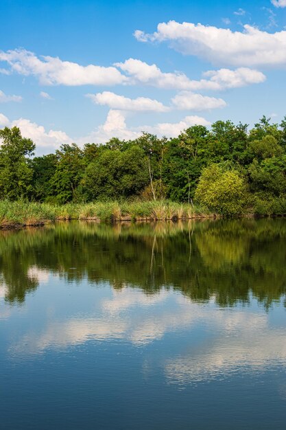 Miroir de lac de pêche