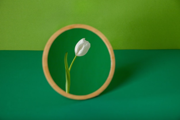 Miroir rond avec reflet de fleurs sur fond vert