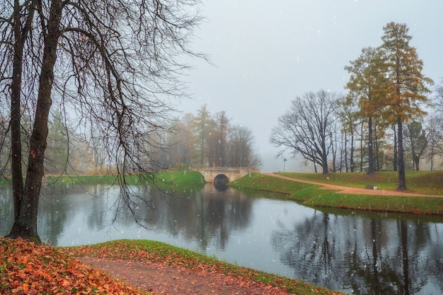 Mise au point douce. Paysage d'automne brumeux avec la première neige dans la réserve de musée d'État de Gatchina. Vue d'automne brumeuse sur le parc, l'étang de Karpin et le vieux pont de pierre.