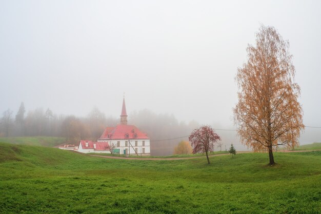 Mise au point douce. Paysage d'automne matin brumeux. Paysage brumeux d'automne lumineux avec des arbres dorés et un vieux palais. Réserve du Musée d'État de Gatchina. Russie.