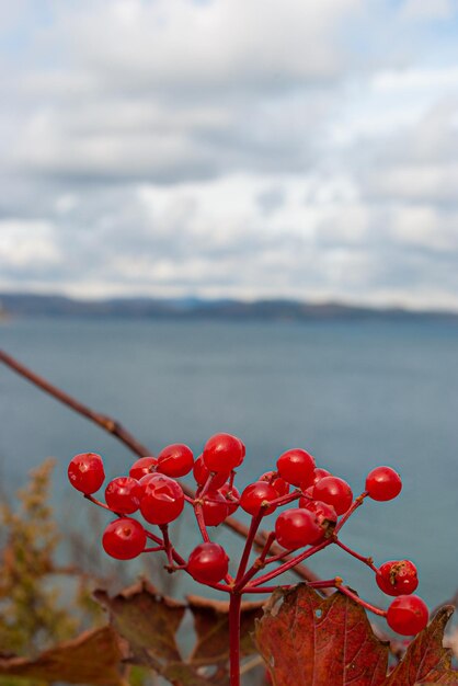 Photo mise au point floue. tourisme et voyages en mer. repos sur la mer.