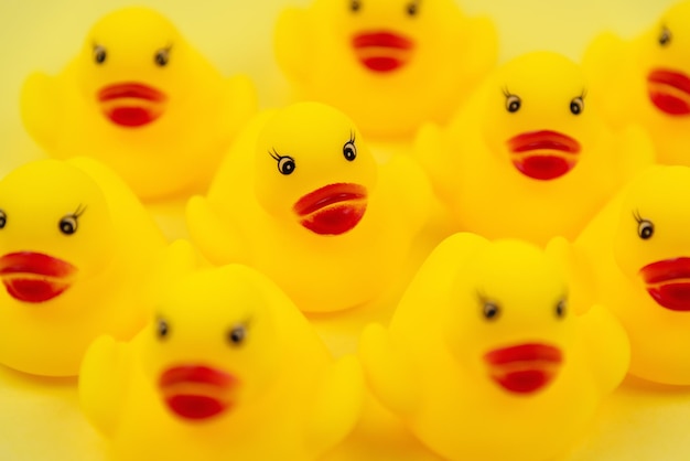 Mise au point sélective du canard en caoutchouc jaune