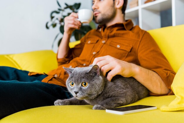 Mise au point sélective du chat et de l'homme à poil court britannique smartphone avec café sur le canapé