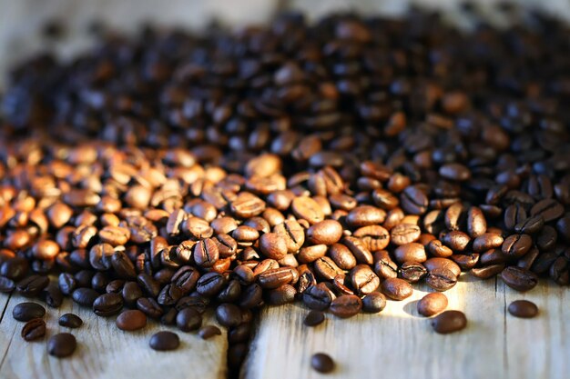 Mise au point sélective. Grains de café. Arabica torréfié et rubus.