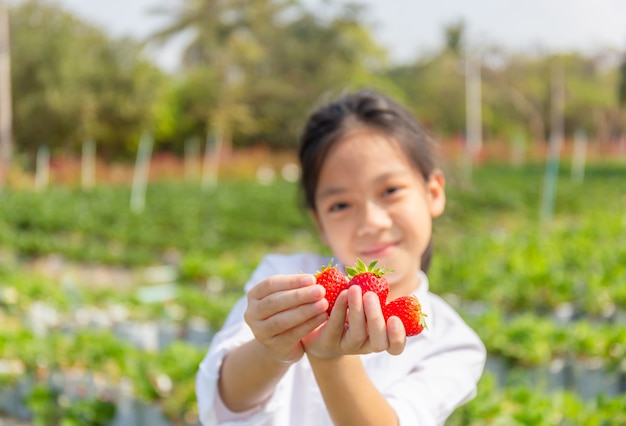 Mise au point sélective de Happy girl enfant tenant des fraises biologiques rouges fraîches dans le jardin