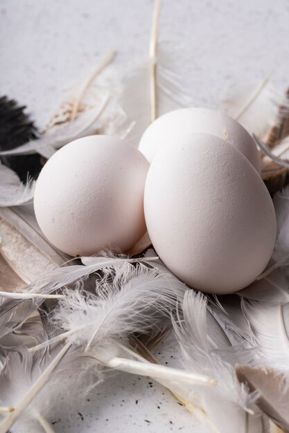 mise au point sélective, oeufs de poule blancs frais dans beaucoup de plumes d'oiseaux