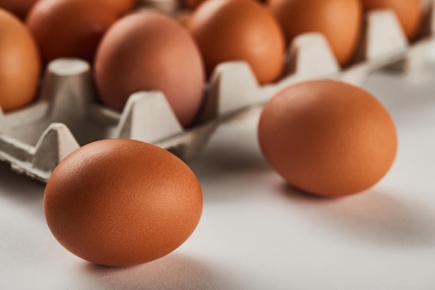 Mise au point sélective des œufs de poule dans une boîte en carton