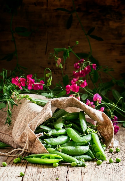 Mise au point sélective des pois verts