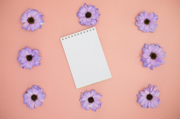 Mise en page créative faite de fleurs colorées Very Peri gerberas sur fond rose