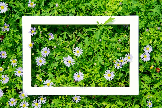 Mise en page créative faite de fleurs et de feuilles avec cadre blanc. Vue de dessus Concept de la nature