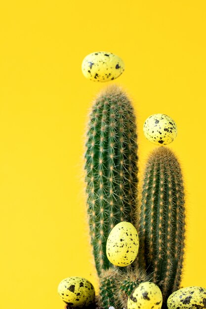 Mise en page créative fond de Pâques. Cactus aux oeufs colorés