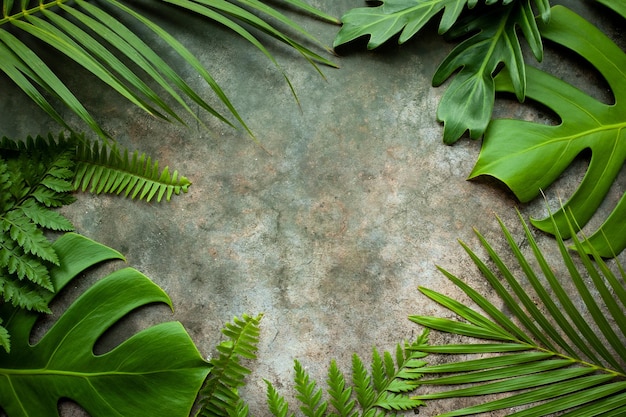 Mise en page créative de la nature faite de feuilles tropicales