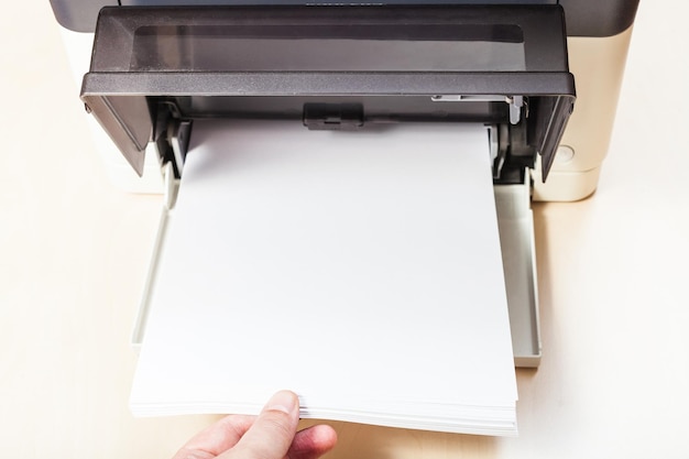 Mise en place des feuilles de papier blanc dans le bac de l'imprimante