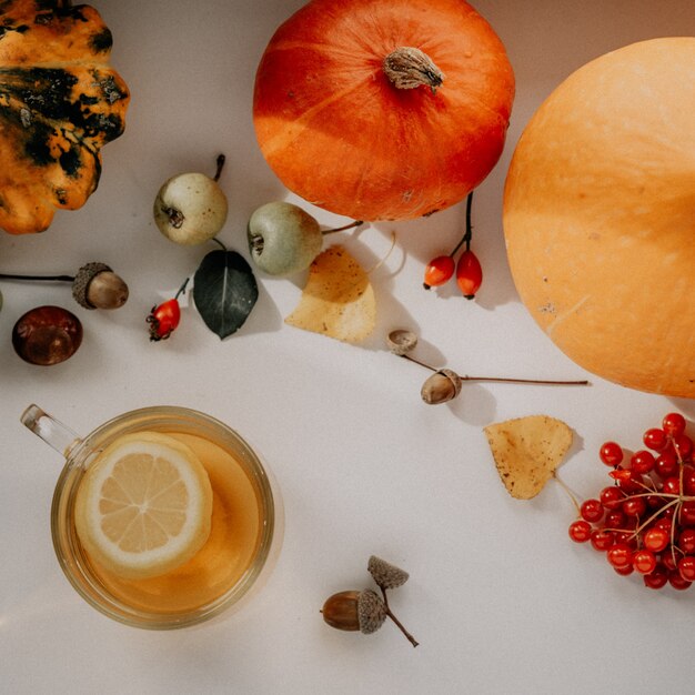 Mise à plat d'automne confortable avec une tasse de citrouilles et de glands au thé au citron