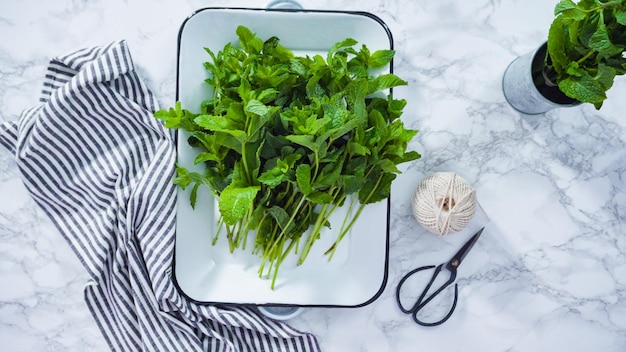 Mise à plat. Bouquet de menthe bio fraîche du jardin d'été.