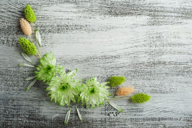 Mise à plat avec chrysanthème vert